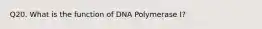 Q20. What is the function of DNA Polymerase I?