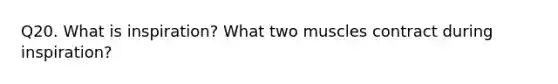 Q20. What is inspiration? What two muscles contract during inspiration?