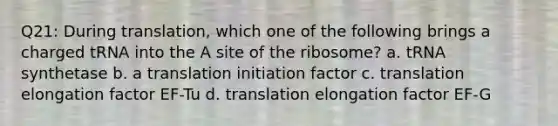 Q21: During translation, which one of the following brings a charged tRNA into the A site of the ribosome? a. tRNA synthetase b. a translation initiation factor c. translation elongation factor EF-Tu d. translation elongation factor EF-G