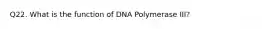 Q22. What is the function of DNA Polymerase III?