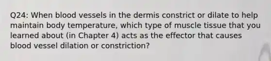 Q24: When blood vessels in the dermis constrict or dilate to help maintain body temperature, which type of muscle tissue that you learned about (in Chapter 4) acts as the effector that causes blood vessel dilation or constriction?