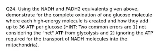 Q24. Using the NADH and FADH2 equivalents given above, demonstrate for the complete oxidation of one glucose molecule where each high-energy molecule is created and how they add up to 36 ATP per glucose (HINT: Two common errors are 1) not considering the "net" ATP from glycolysis and 2) ignoring the ATP required for the transport of NADH molecules into the mitochondria).