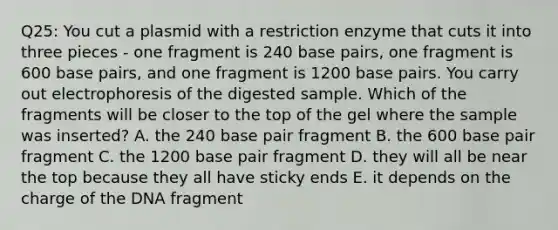 Q25: You cut a plasmid with a restriction enzyme that cuts it into three pieces - one fragment is 240 base pairs, one fragment is 600 base pairs, and one fragment is 1200 base pairs. You carry out electrophoresis of the digested sample. Which of the fragments will be closer to the top of the gel where the sample was inserted? A. the 240 base pair fragment B. the 600 base pair fragment C. the 1200 base pair fragment D. they will all be near the top because they all have sticky ends E. it depends on the charge of the DNA fragment