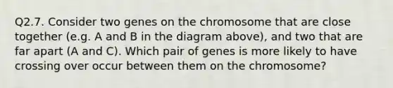 Q2.7. Consider two genes on the chromosome that are close together (e.g. A and B in the diagram above), and two that are far apart (A and C). Which pair of genes is more likely to have crossing over occur between them on the chromosome?