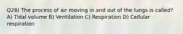 Q28) The process of air moving in and out of the lungs is called? A) Tidal volume B) Ventilation C) Respiration D) Cellular respiration
