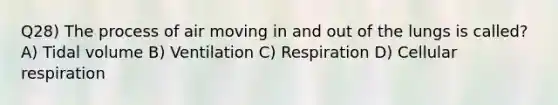 Q28) The process of air moving in and out of the lungs is called? A) Tidal volume B) Ventilation C) Respiration D) Cellular respiration