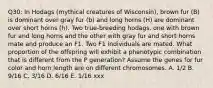 Q30: In Hodags (mythical creatures of Wisconsin), brown fur (B) is dominant over gray fur (b) and long horns (H) are dominant over short horns (h). Two true-breeding hodags, one with brown fur and long horns and the other with gray fur and short horns mate and produce an F1. Two F1 individuals are mated. What proportion of the offspring will exhibit a phenotypic combination that is different from the P generation? Assume the genes for fur color and horn length are on different chromosomes. A. 1/2 B. 9/16 C. 3/16 D. 6/16 E. 1/16 xxx