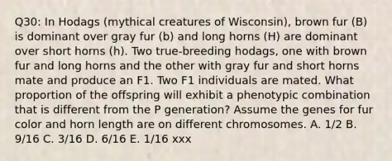 Q30: In Hodags (mythical creatures of Wisconsin), brown fur (B) is dominant over gray fur (b) and long horns (H) are dominant over short horns (h). Two true-breeding hodags, one with brown fur and long horns and the other with gray fur and short horns mate and produce an F1. Two F1 individuals are mated. What proportion of the offspring will exhibit a phenotypic combination that is different from the P generation? Assume the genes for fur color and horn length are on different chromosomes. A. 1/2 B. 9/16 C. 3/16 D. 6/16 E. 1/16 xxx