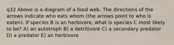 q32 Above is a diagram of a food web. The directions of the arrows indicate who eats whom (the arrows point to who is eaten). If species B is an herbivore, what is species C most likely to be? A) an autotroph B) a detritivore C) a secondary predator D) a predator E) an herbivore