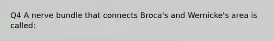 Q4 A nerve bundle that connects Broca's and Wernicke's area is called: