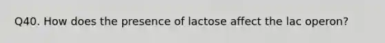 Q40. How does the presence of lactose affect the lac operon?