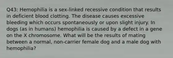 Q43: Hemophilia is a sex-linked recessive condition that results in deficient blood clotting. The disease causes excessive bleeding which occurs spontaneously or upon slight injury. In dogs (as in humans) hemophilia is caused by a defect in a gene on the X chromosome. What will be the results of mating between a normal, non-carrier female dog and a male dog with hemophilia?