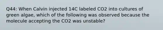 Q44: When Calvin injected 14C labeled CO2 into cultures of green algae, which of the following was observed because the molecule accepting the CO2 was unstable?