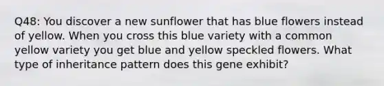 Q48: You discover a new sunflower that has blue flowers instead of yellow. When you cross this blue variety with a common yellow variety you get blue and yellow speckled flowers. What type of inheritance pattern does this gene exhibit?