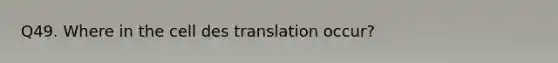 Q49. Where in the cell des translation occur?