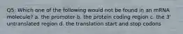 Q5: Which one of the following would not be found in an mRNA molecule? a. the promoter b. the protein coding region c. the 3' untranslated region d. the translation start and stop codons