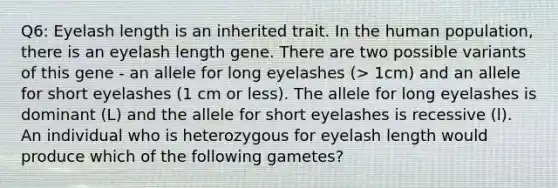 Q6: Eyelash length is an inherited trait. In the human population, there is an eyelash length gene. There are two possible variants of this gene - an allele for long eyelashes (> 1cm) and an allele for short eyelashes (1 cm or less). The allele for long eyelashes is dominant (L) and the allele for short eyelashes is recessive (l). An individual who is heterozygous for eyelash length would produce which of the following gametes?