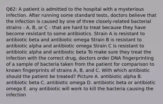 Q62: A patient is admitted to the hospital with a mysterious infection. After running some standard tests, doctors believe that the infection is caused by one of three closely-related bacterial strains - A, B, or C - that are hard to treat because they have become resistant to some antibiotics. Strain A is resistant to antibiotic beta and antibiotic omega Strain B is resistant to antibiotic alpha and antibiotic omega Strain C is resistant to antibiotic alpha and antibiotic beta To make sure they treat the infection with the correct drug, doctors order DNA fingerprinting of a sample of bacteria taken from the patient for comparison to known fingerprints of strains A, B, and C. With which antibiotic should the patient be treated? Picture A. antibiotic alpha B. antibiotic beta C. antibiotic omega D. antibiotic beta or antibiotic omega E. any antibiotic will work to kill the bacteria causing the infection