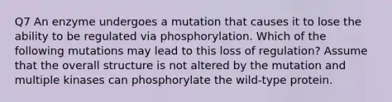 Q7 An enzyme undergoes a mutation that causes it to lose the ability to be regulated via phosphorylation. Which of the following mutations may lead to this loss of regulation? Assume that the overall structure is not altered by the mutation and multiple kinases can phosphorylate the wild-type protein.