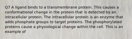 Q7 A ligand binds to a transmembrane protein. This causes a conformational change in the protein that is detected by an intracellular protein. The intracellular protein is an enzyme that adds phosphate groups to target proteins. The phosphorylated proteins cause a physiological change within the cell. This is an example of