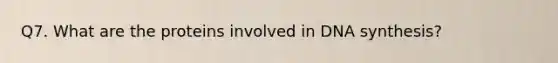 Q7. What are the proteins involved in DNA synthesis?