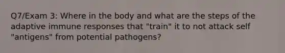 Q7/Exam 3: Where in the body and what are the steps of the adaptive immune responses that "train" it to not attack self "antigens" from potential pathogens?