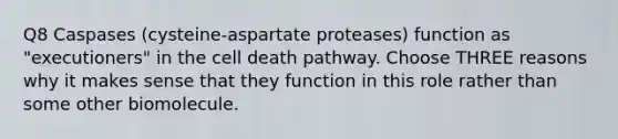 Q8 Caspases (cysteine-aspartate proteases) function as "executioners" in the cell death pathway. Choose THREE reasons why it makes sense that they function in this role rather than some other biomolecule.