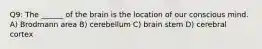 Q9: The ______ of the brain is the location of our conscious mind. A) Brodmann area B) cerebellum C) brain stem D) cerebral cortex