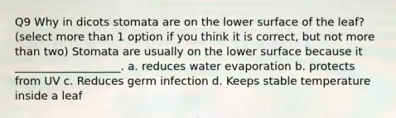 Q9 Why in dicots stomata are on the lower surface of the leaf? (select more than 1 option if you think it is correct, but not more than two) Stomata are usually on the lower surface because it ___________________. a. reduces water evaporation b. protects from UV c. Reduces germ infection d. Keeps stable temperature inside a leaf