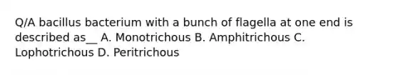 Q/A bacillus bacterium with a bunch of flagella at one end is described as__ A. Monotrichous B. Amphitrichous C. Lophotrichous D. Peritrichous