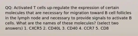 QQ: Activated T cells up-regulate the expression of certain molecules that are necessary for migration toward B cell follicles in the lymph node and necessary to provide signals to activate B cells. What are the names of these molecules? (select two answers) 1. CXCR5 2. CD40L 3. CD40 4. CCR7 5. CD8