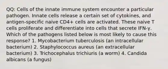 QQ: Cells of the innate immune system encounter a particular pathogen. Innate cells release a certain set of cytokines, and antigen-specific naive CD4+ cells are activated. These naive T cells proliferate and differentiate into cells that secrete IFN-γ. Which of the pathogens listed below is most likely to cause this response? 1. Mycobacterium tuberculosis (an intracellular bacterium) 2. Staphylococcus aureus (an extracellular bacterium) 3. Trichocephalus trichiuris (a worm) 4. Candida albicans (a fungus)