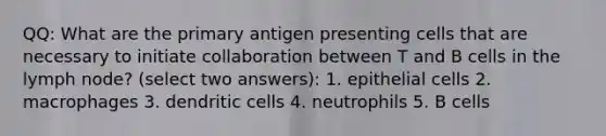 QQ: What are the primary antigen presenting cells that are necessary to initiate collaboration between T and B cells in the lymph node? (select two answers): 1. epithelial cells 2. macrophages 3. dendritic cells 4. neutrophils 5. B cells