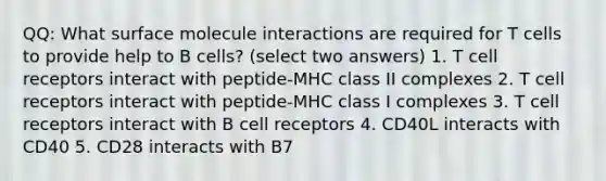 QQ: What surface molecule interactions are required for T cells to provide help to B cells? (select two answers) 1. T cell receptors interact with peptide-MHC class II complexes 2. T cell receptors interact with peptide-MHC class I complexes 3. T cell receptors interact with B cell receptors 4. CD40L interacts with CD40 5. CD28 interacts with B7