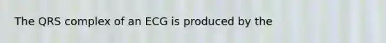 The QRS complex of an ECG is produced by the