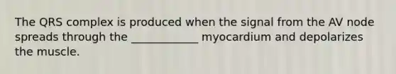 The QRS complex is produced when the signal from the AV node spreads through the ____________ myocardium and depolarizes the muscle.