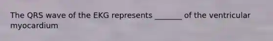 The QRS wave of the EKG represents _______ of the ventricular myocardium