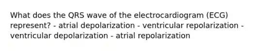 What does the QRS wave of the electrocardiogram (ECG) represent? - atrial depolarization - ventricular repolarization - ventricular depolarization - atrial repolarization