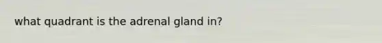 what quadrant is the adrenal gland in?