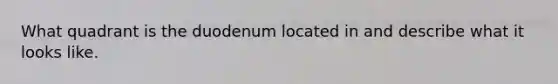 What quadrant is the duodenum located in and describe what it looks like.
