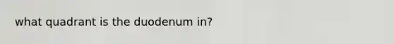 what quadrant is the duodenum in?