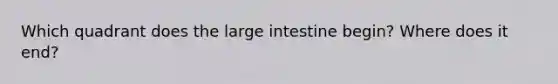 Which quadrant does the large intestine begin? Where does it end?