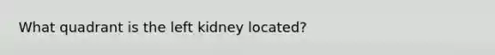 What quadrant is the left kidney located?