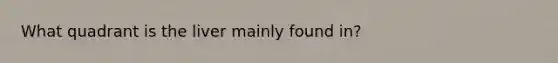 What quadrant is the liver mainly found in?