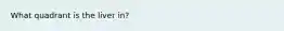 What quadrant is the liver in?