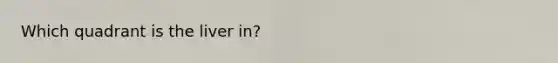 Which quadrant is the liver in?