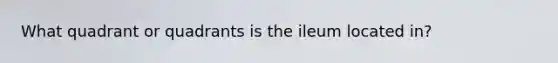 What quadrant or quadrants is the ileum located in?