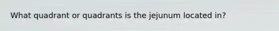 What quadrant or quadrants is the jejunum located in?