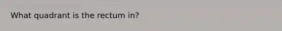 What quadrant is the rectum in?