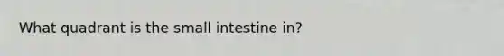 What quadrant is the small intestine in?